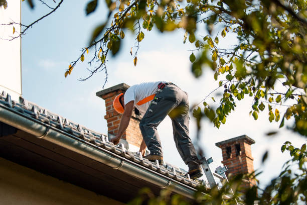 Best Local Roofing Companies  in Sunnyside, CA
