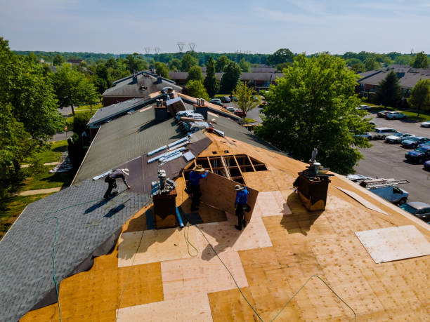 Quick and Trustworthy Emergency Roof Repair Services in Sunnyside, CA